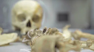 faces of death 3
