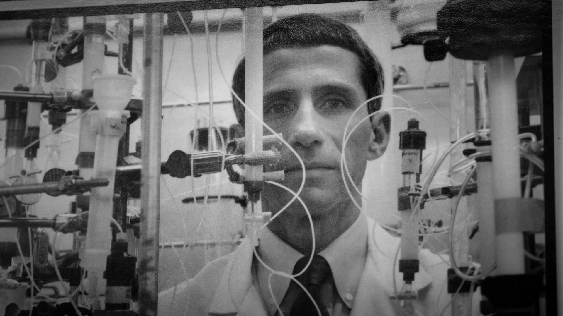 fauci frame